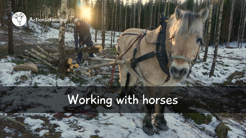Working with horses