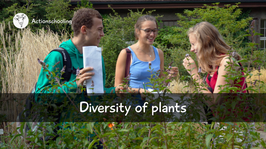 Diversity of plants